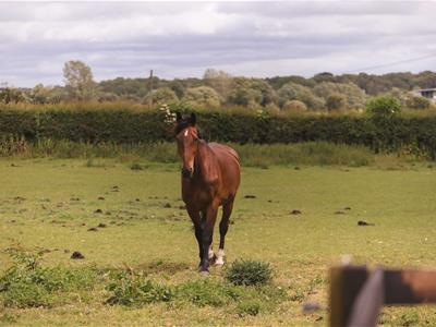 Picture 35